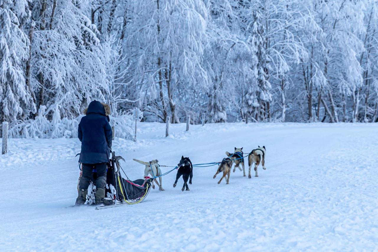 Francecomfort - Alpresort Portes Du Soleil Abondance エクステリア 写真